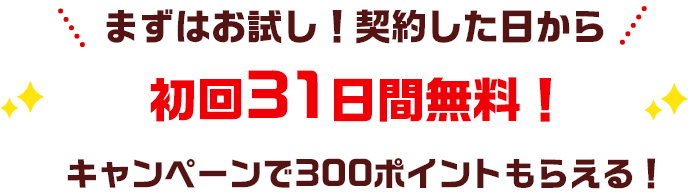 まずはお試し！契約した日から 初回31日間無料！ キャンペーンで300ポイントもらえる！